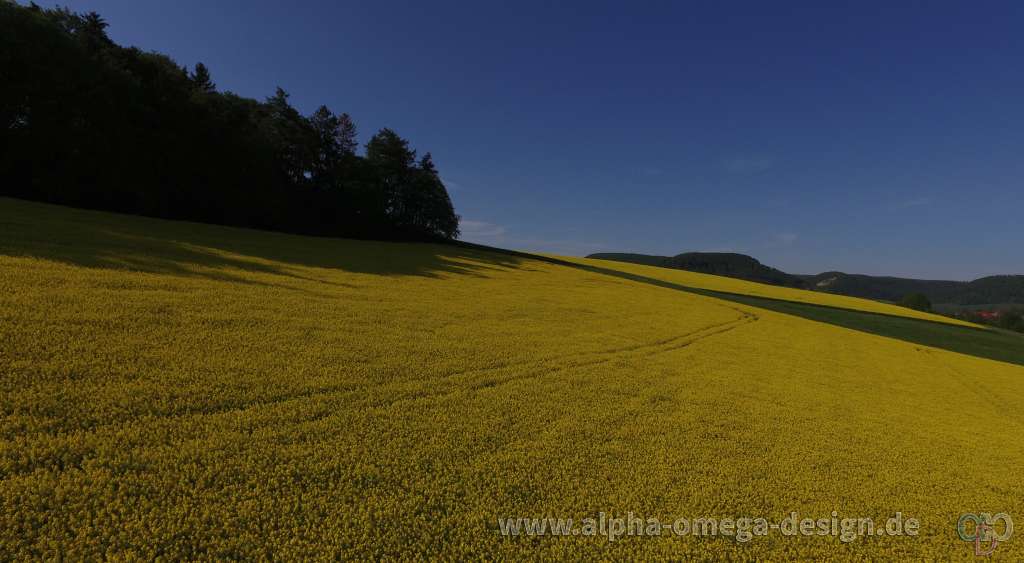 Frühlingsimpressionen Frühlingsimpressionen