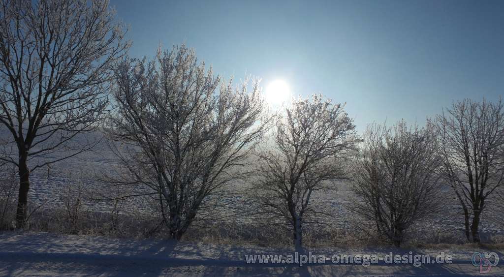 Winterimpressionen Winterimpressionen